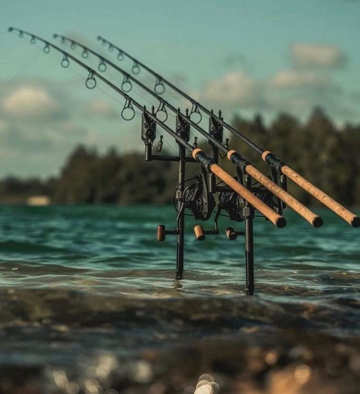 Hengelsport in Huizen